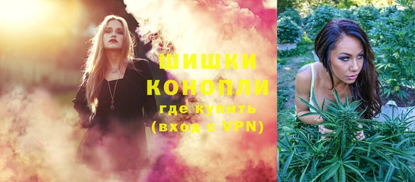 шишки Абинск