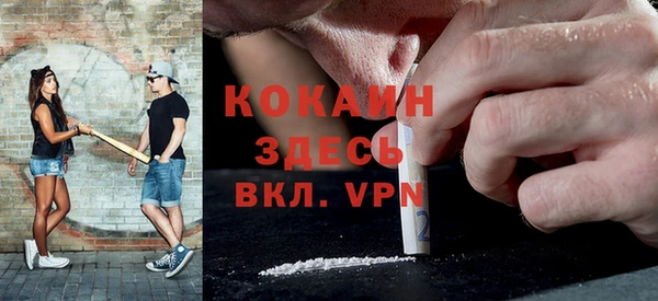 шишки Абинск